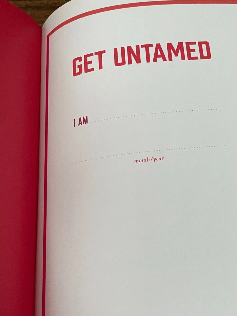 Get Untamed: The Journal (How to Quit Pleasing and Start Living)-Hardcover